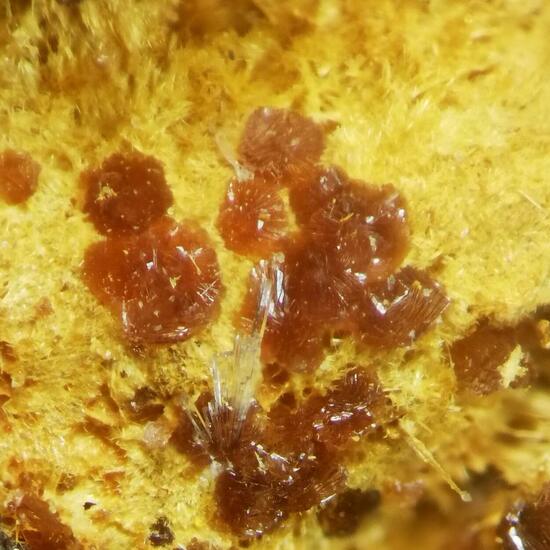 Kapundaite & Leucophosphite