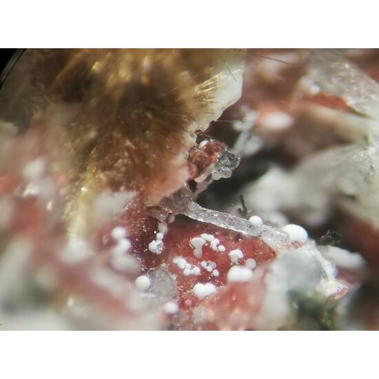 Makatite Eudialyte & Ellingsenite