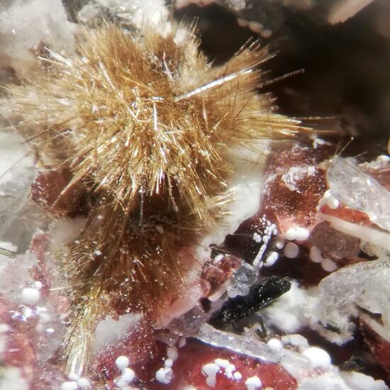 Makatite Eudialyte & Ellingsenite