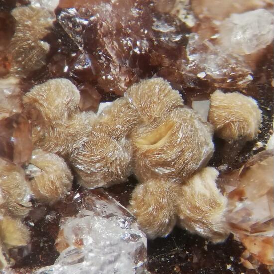 Roscoelite & Ganophyllite