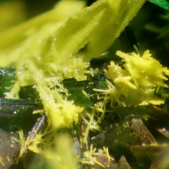 Schoepite On Rutherfordine & Malachite