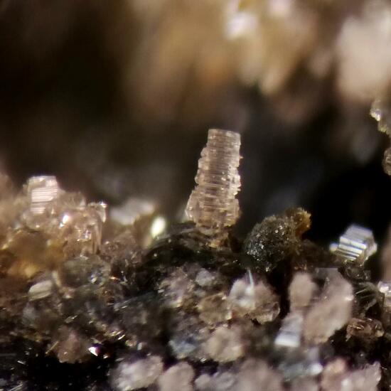 Strunzite Beraunite & Strengite