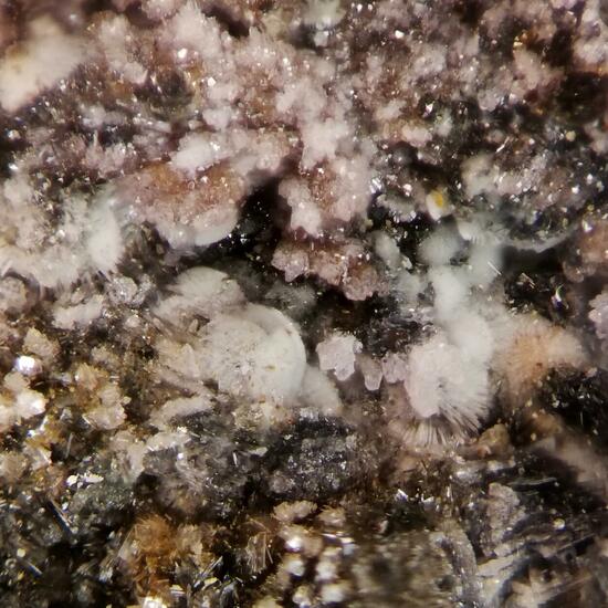 Strunzite Beraunite & Strengite