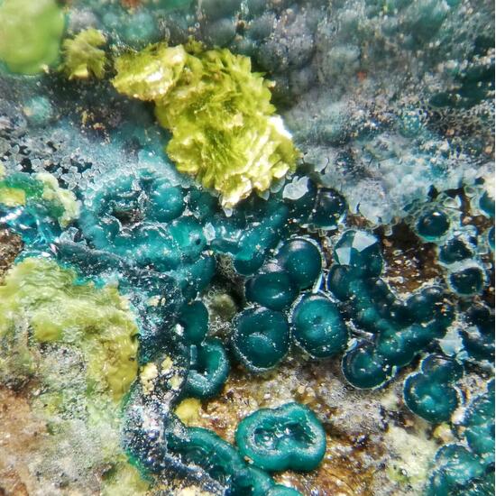 Volborthite & Carnotite