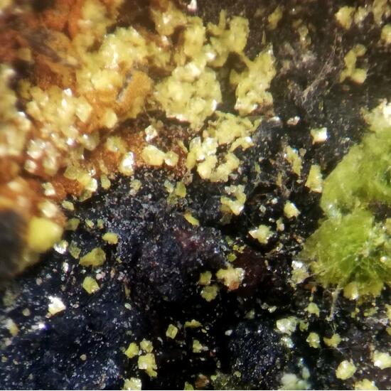 Volborthite & Carnotite