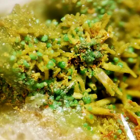 Bayldonite On Mimetite