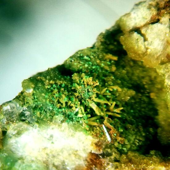 Bayldonite On Mimetite