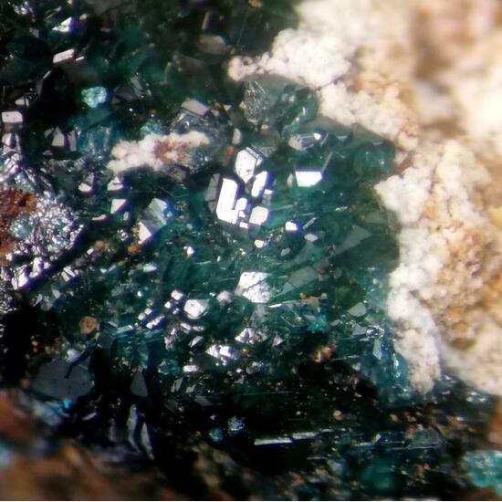 Herbertsmithite