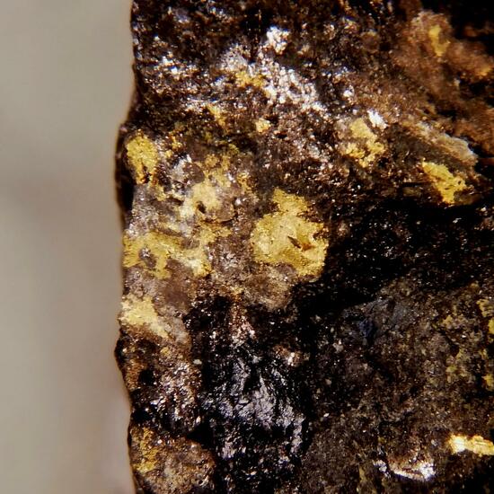 Native Gold In Uraninite