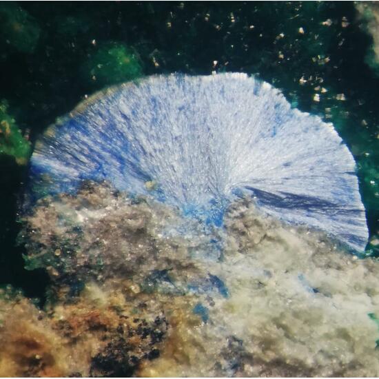 Munakataite Brochantite & Linarite