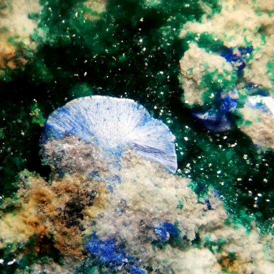 Munakataite Brochantite & Linarite