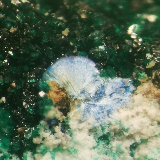Munakataite Brochantite & Linarite