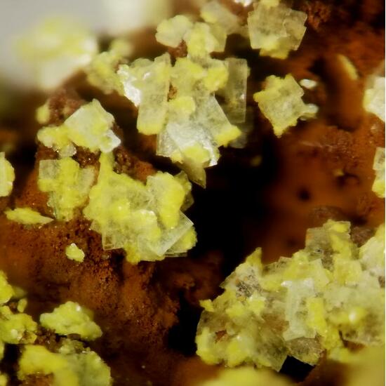 Yingjiangite On Saléeite & Saléeite