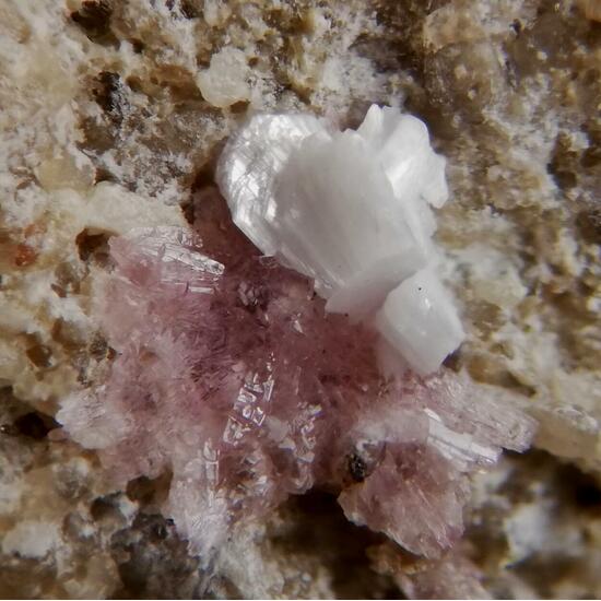 Sainfeldite & Guérinite