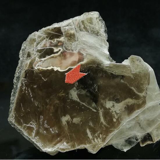 Boltwoodite In Biotite