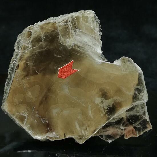 Boltwoodite In Biotite