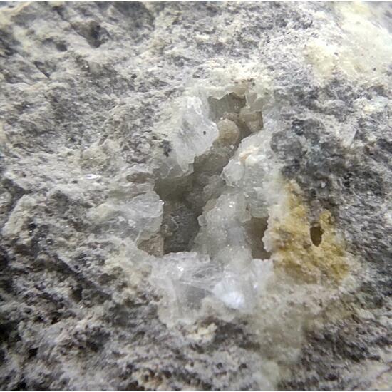 Clinoptilolite & Ferrierite