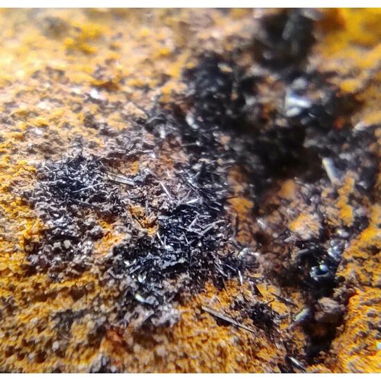 Descloizite & Plattnerite