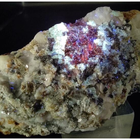 Clinohumite & Spinel