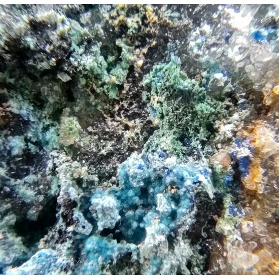 Devilline Chalcopyrite & Galena