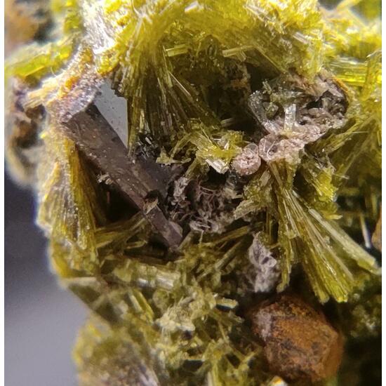 Epidote Ferro-actinolite & Pyrite