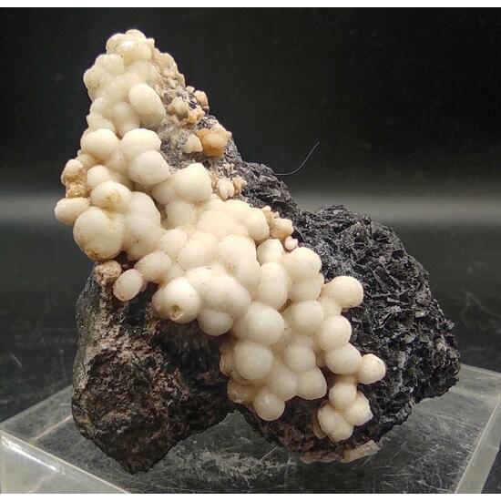 Aragonite & Calcite On Siderite