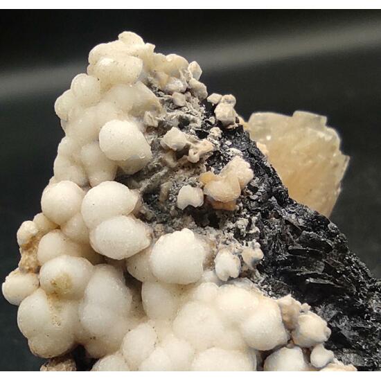 Aragonite & Calcite On Siderite