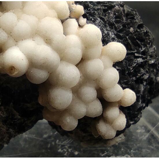 Aragonite & Calcite On Siderite