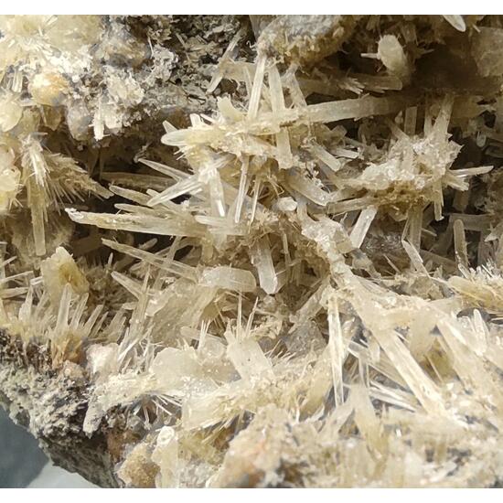 Aragonite