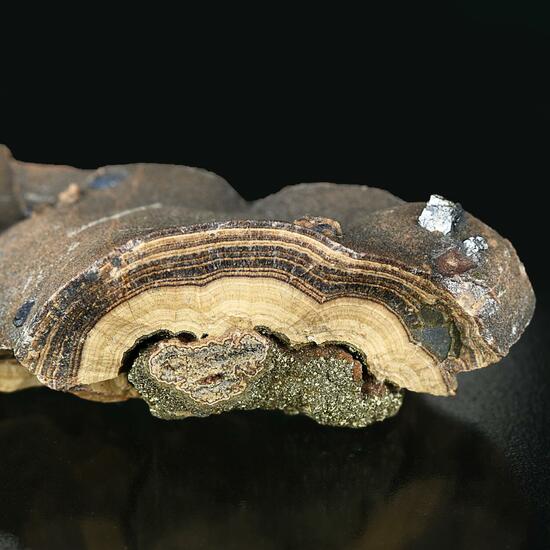 Galena On Schalenblende