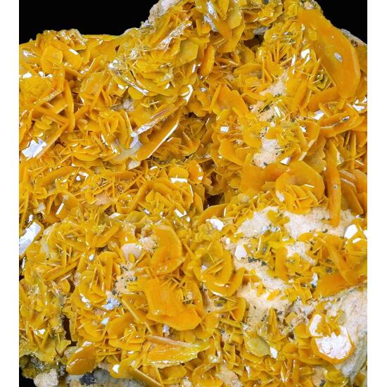 Wulfenite