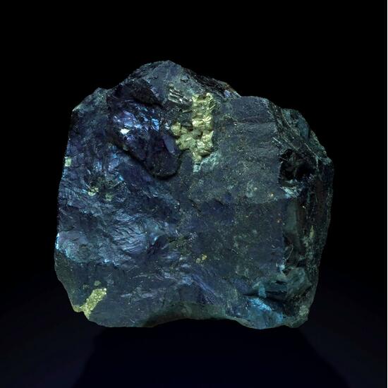 Covellite & Pyrite