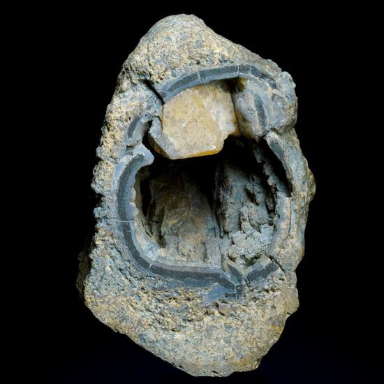 Petrified Wood & Calcite